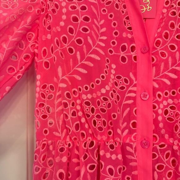 NWT Lilly Pulitzer Amrita Eyelet Midi Dress - Size 4 - Picture 3 of 7